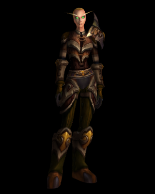 Ahn'Kahar Blood Hunter's Battlegear (10 Normal Recolor)