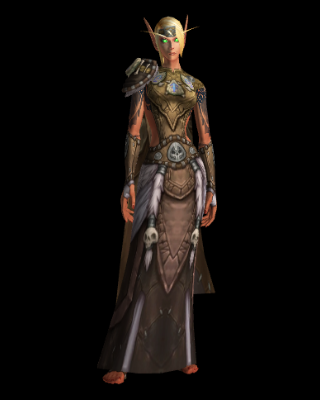 Rune Scribe's Vestments