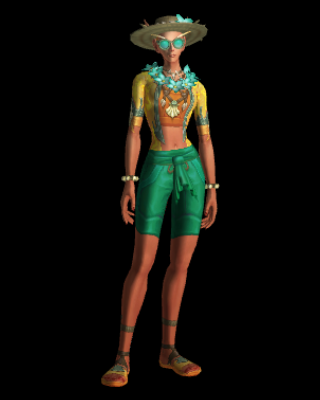 Sunny Tropical Swimwear