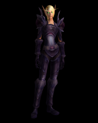 Champion's Guard