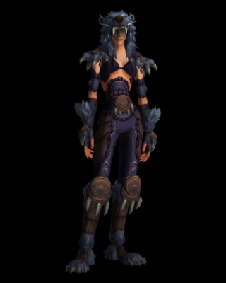 Fierce Gladiator's Dragonhide Armor (Alliance Recolor)