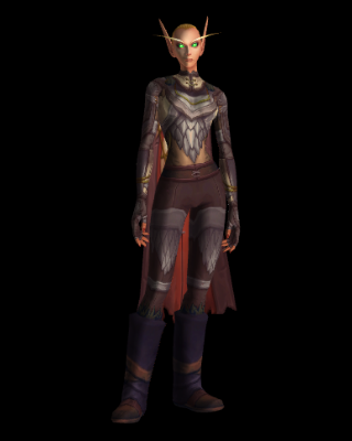 Forged Gladiator's Hunter Set TWW PvP Season 1