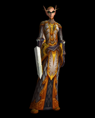 Undead Paladin